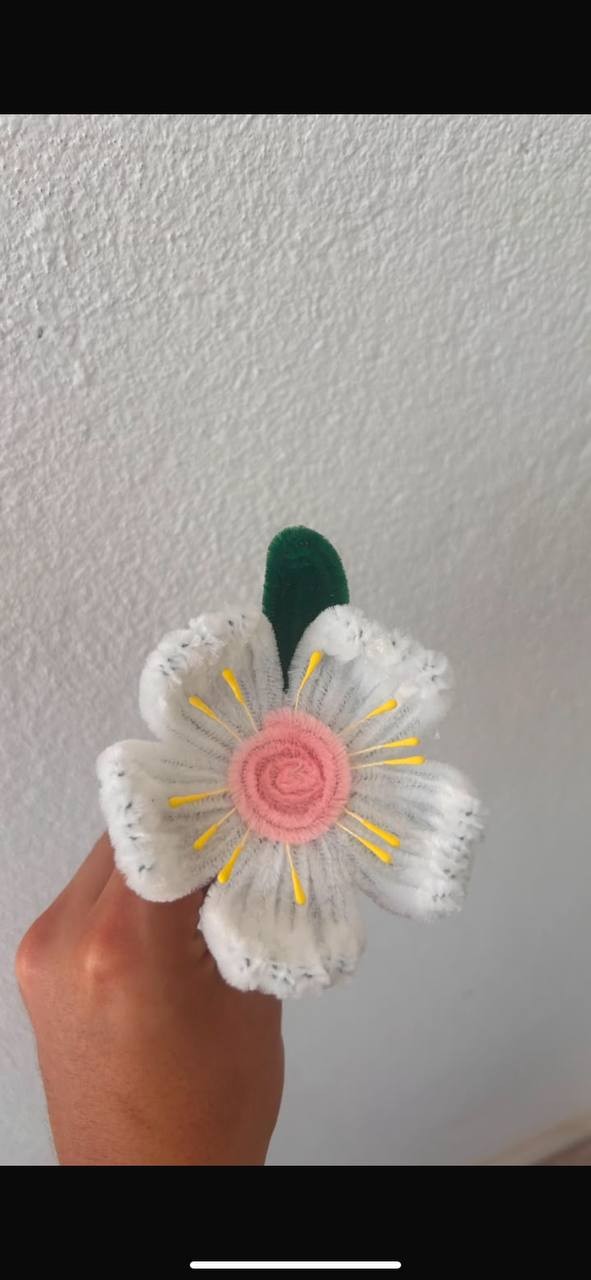 Amapola
