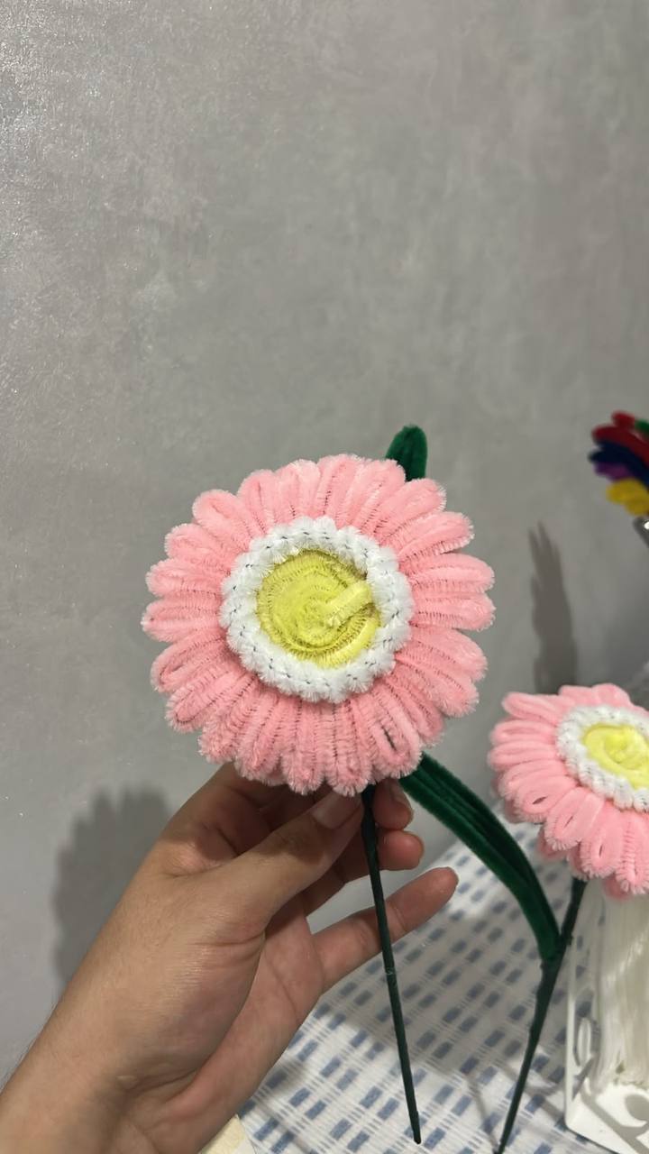 Fleur rose tenue à la main devant un mur