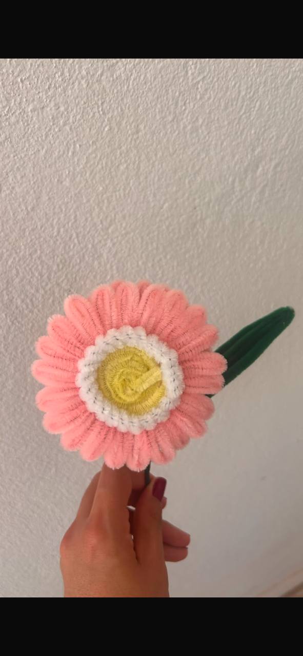 Gerbera Grande