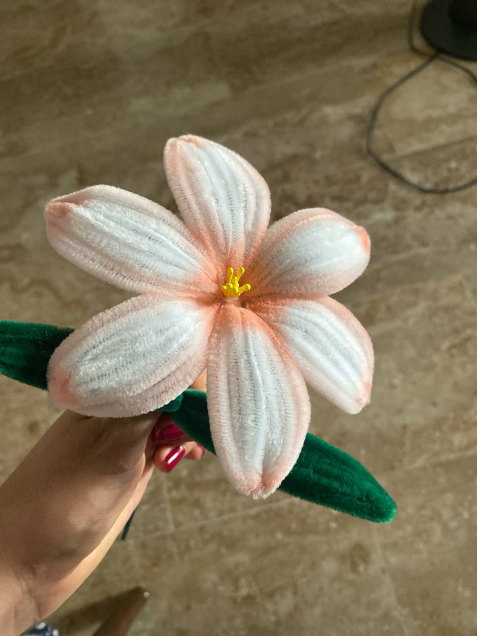 Lirio Sencillo